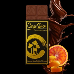 carpe diem mushroom chocolate summer citrus belgian chocolate