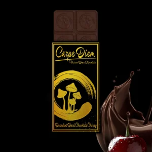 carpe diem mushroom chocolate