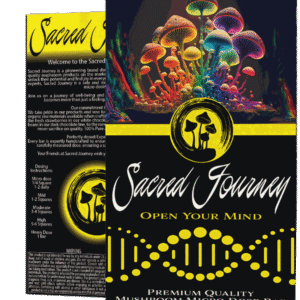 sacred journey chocolates