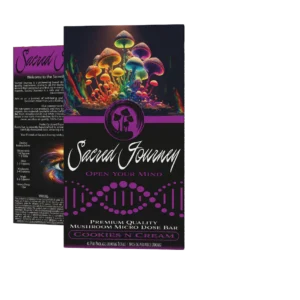 sacred journey chocolate mushroom